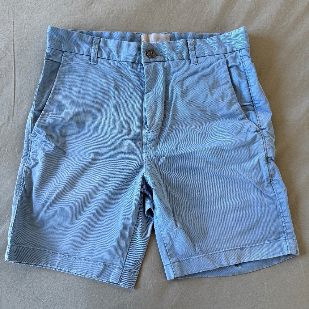 Everlane Blue Shorts